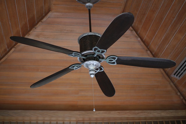 Things You Should Know Before Buying A Ceiling Fan